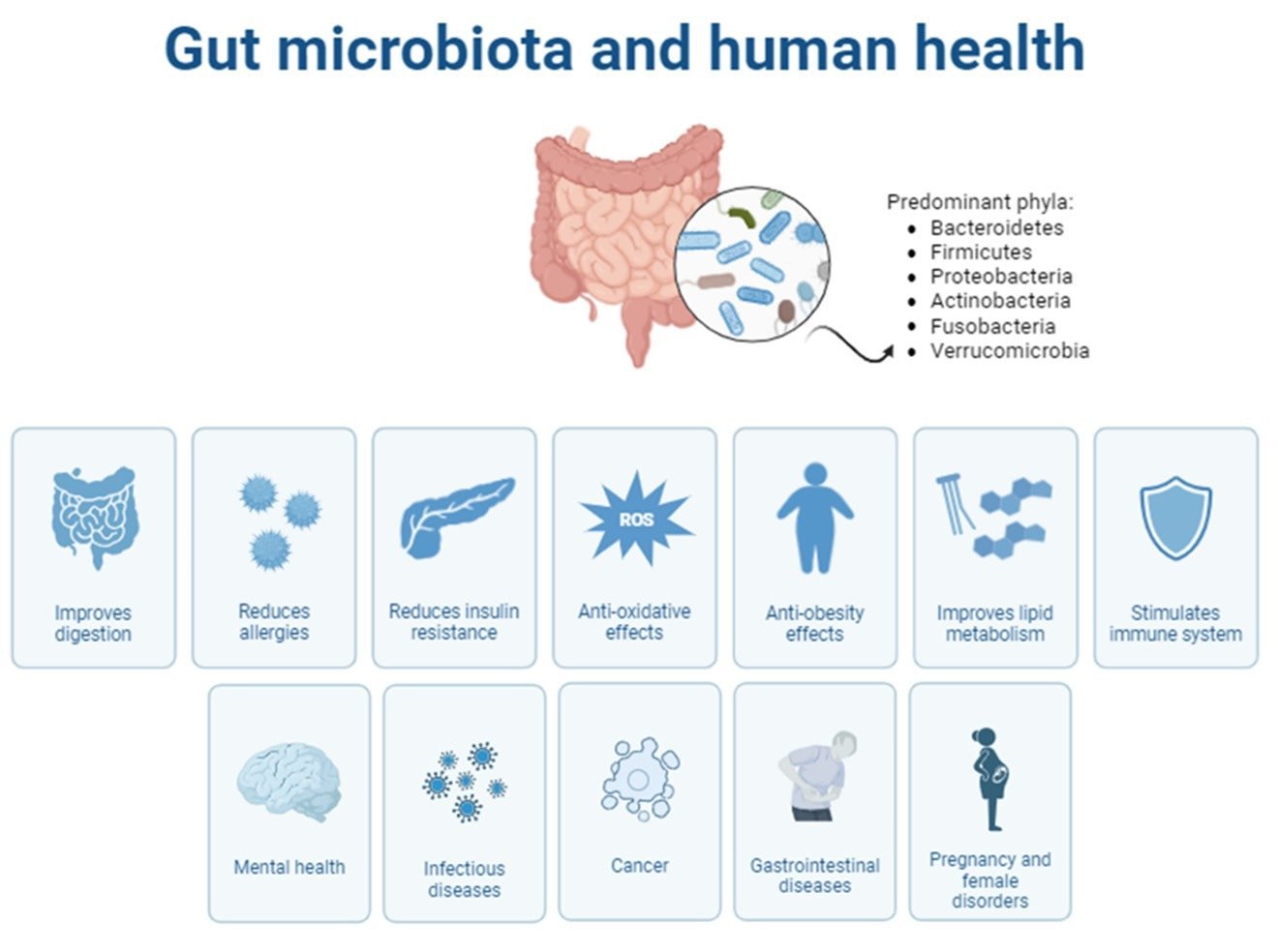 Analysis: Effects of Milk Change vs. Vegetable Milk on Human Gut Microbiota and Human Health Effects.